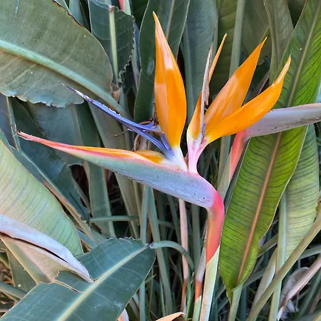 Seaside Casa de Férias Fontane Bianche